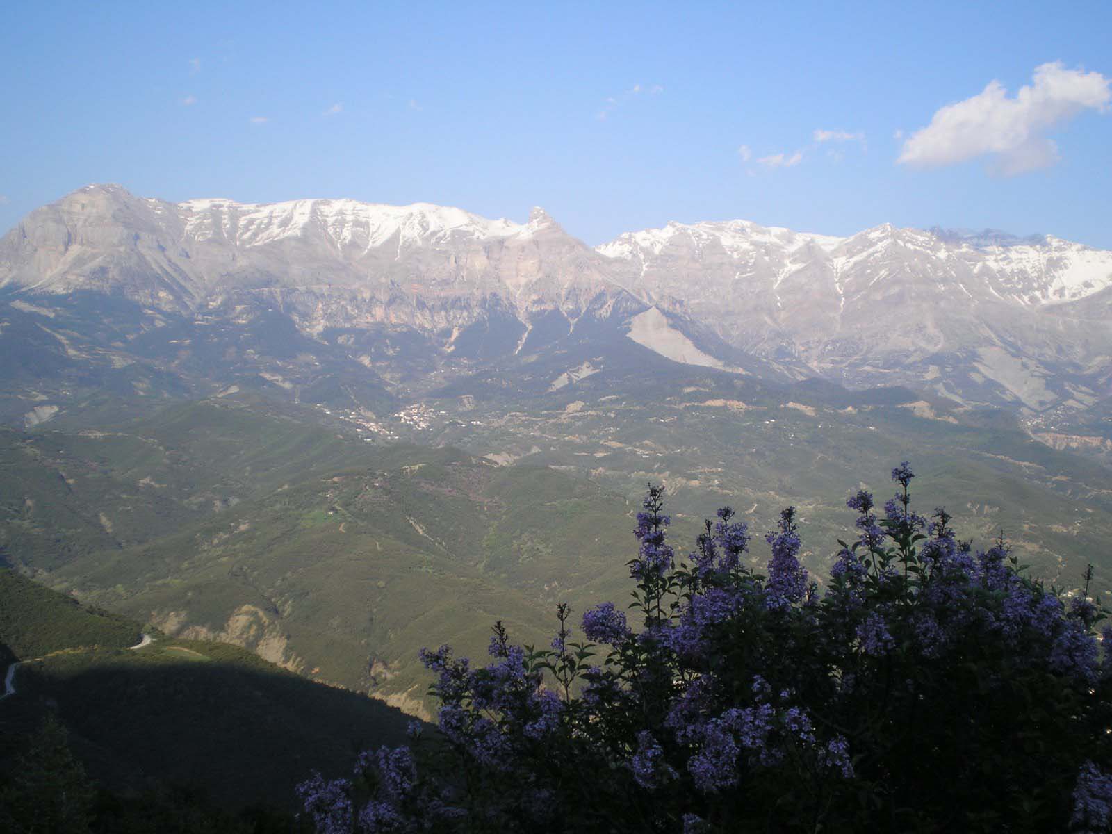 Axeloos valley צומרקה אביב מקסים