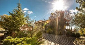 BEST BEST BEST-HOTEL SKAMNOS