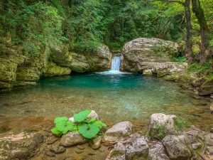 BEST BEST BEST TREKING66