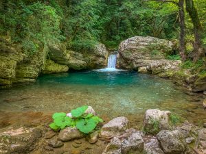 BEST BEST BEST TREKING66