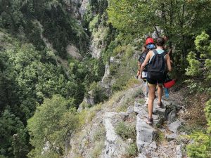 BEST BEST BEST TREKING999