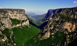 BEST BEST BEST wild nature223