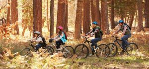 BEST BEST FAMILY hotel-perivoli-cycling-