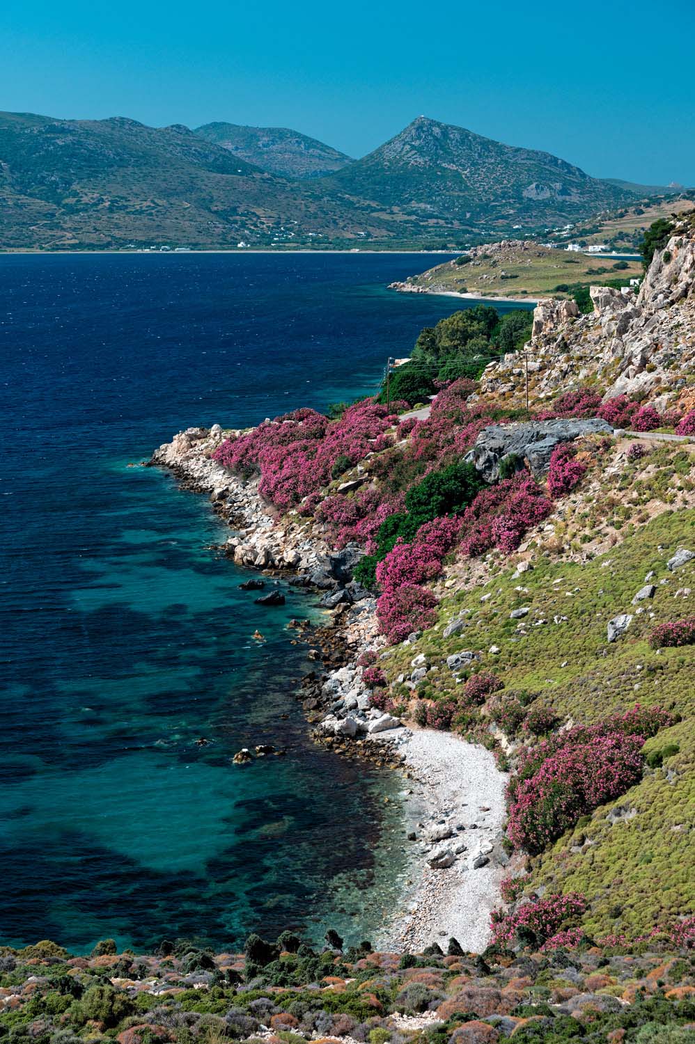 Landscape,With,Part,Of,The,Coastline,Of,Skyros,Island,,Greece
