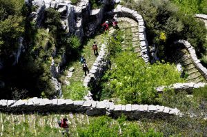 BEST BEST ZAGORI