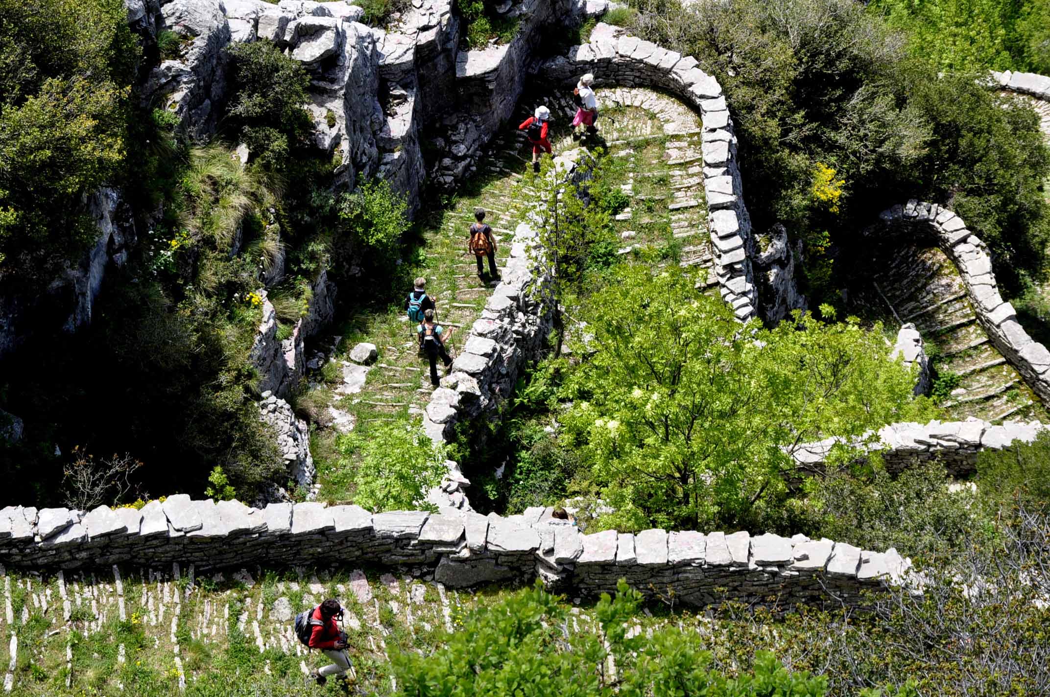 BEST BEST ZAGORI