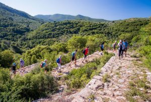 BEST Hiking Biliovo trail-2