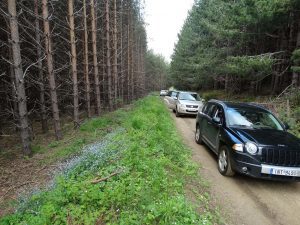 BEST JEEP TOUR44