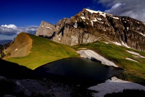 BEST NATURE44