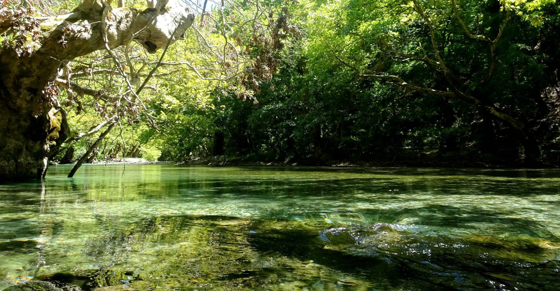 BEST NICE NATURE