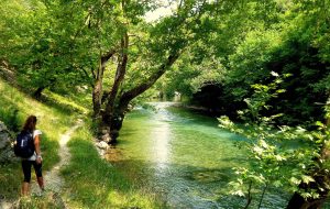 BEST NICE NATURE44