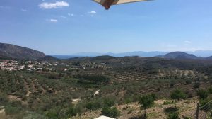BEST VIEW55