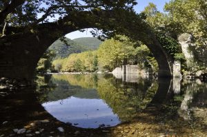 PAPAEVANGELOU_DSC0235 (2)