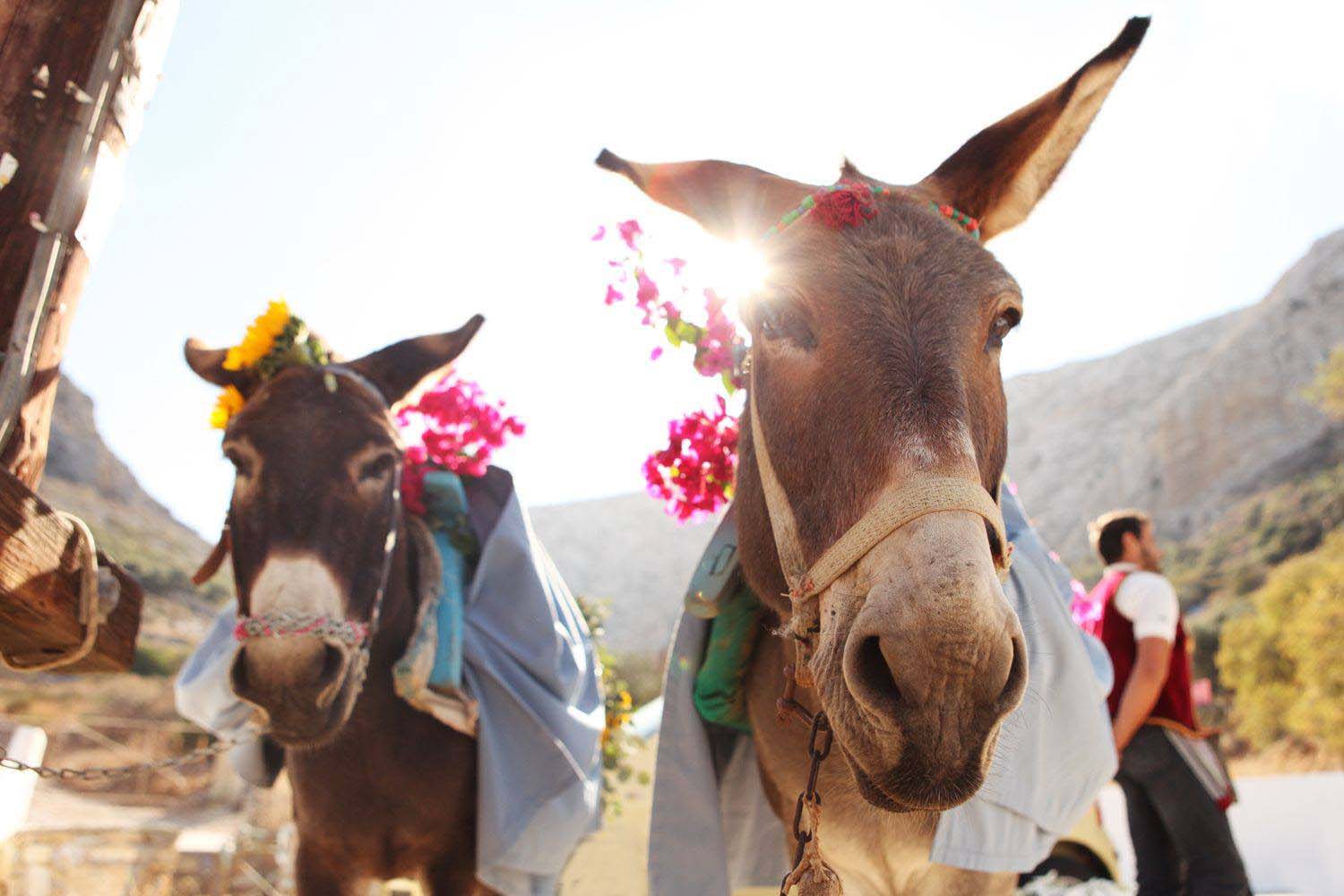 WEDDING AMORGOS33