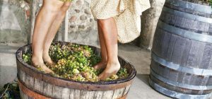 hotel-perivoli-wine-tours-1600x750_1