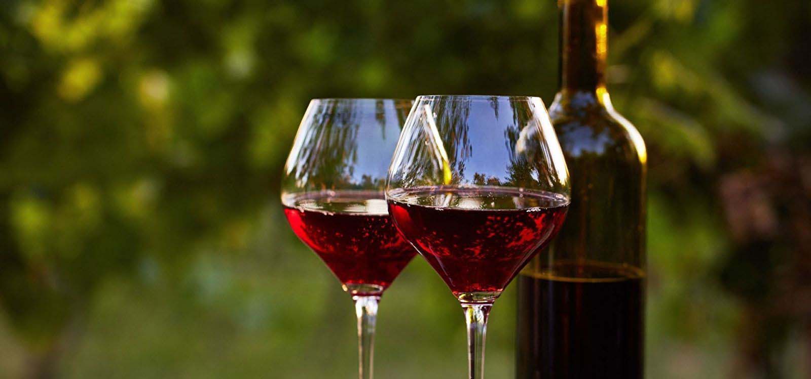 hotel-perivoli-wine-tours-1600x750_2