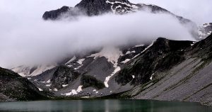 wild nature445