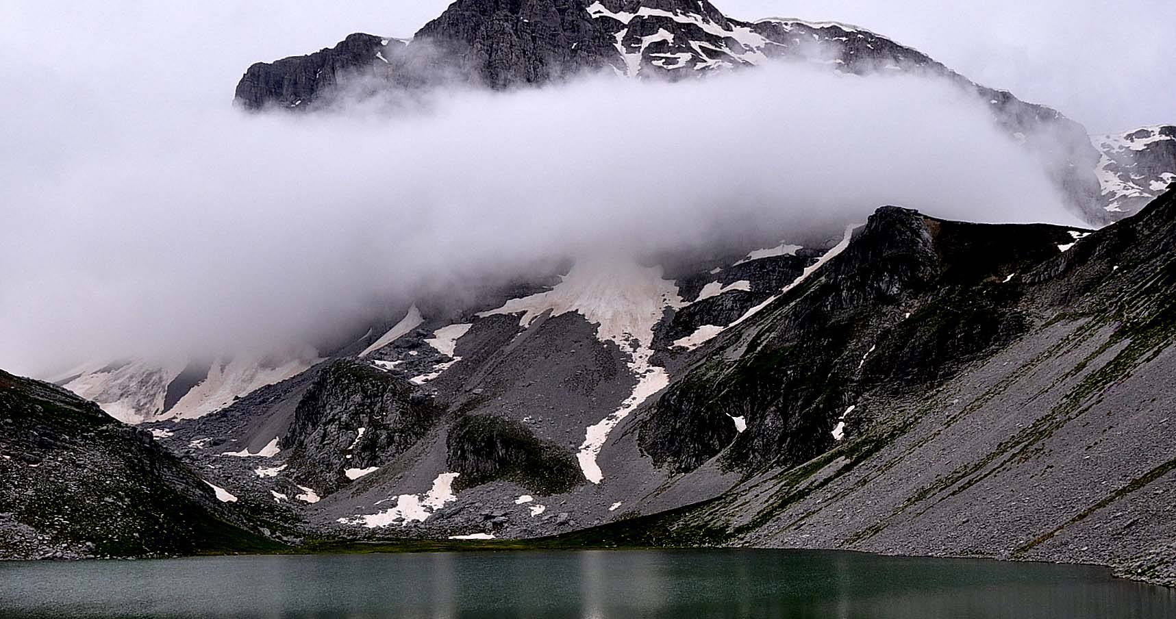 wild nature445