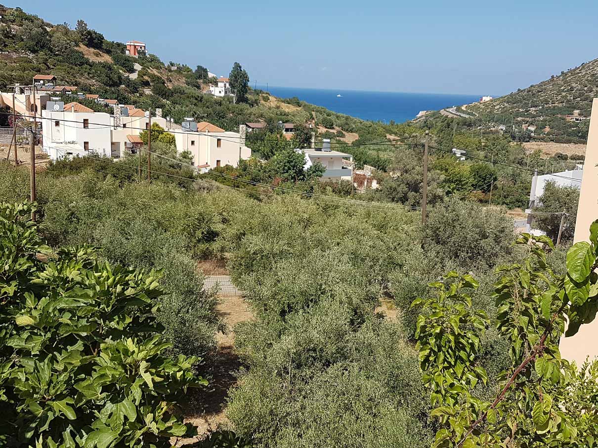 הנוף ממרפסת הוילה1