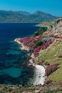 Landscape,With,Part,Of,The,Coastline,Of,Skyros,Island,,Greece
