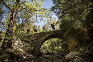 BEST BEST HIKING33999999