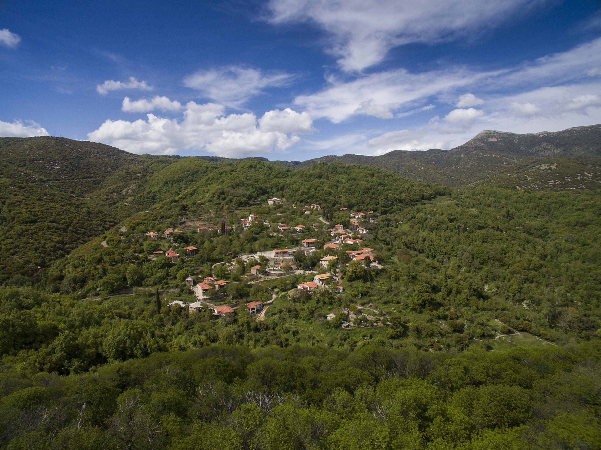 BEST BEST abeliona retreat _panoramic view