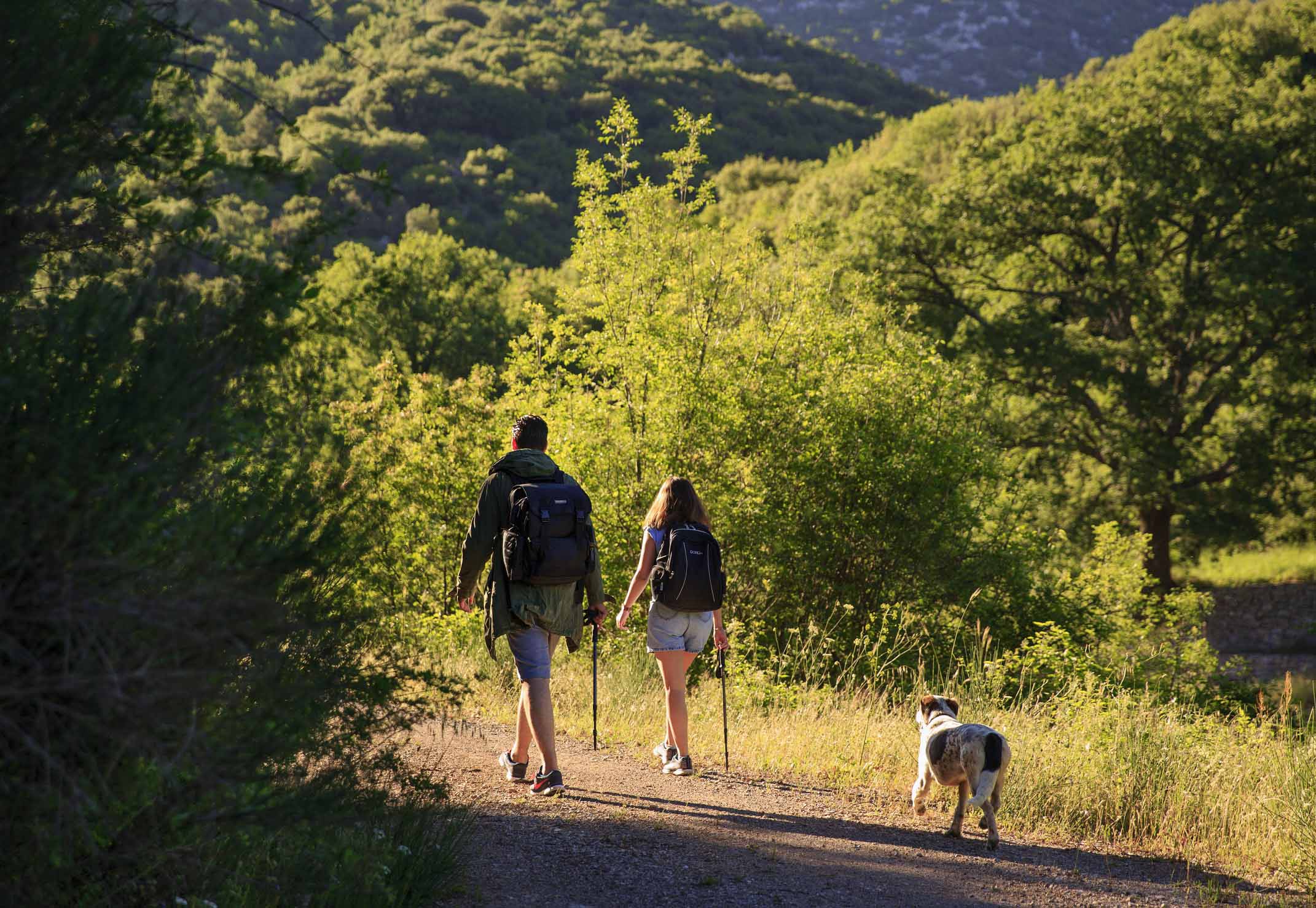BEST BEST hiking2