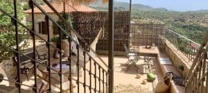 BOHO_SUITE_6356